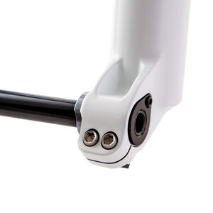 Fox Fork 36mm 2018 Lower Leg Assembly 29 170mm w/15mm Pinch Axle Gloss White click to zoom image